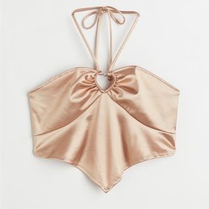H&M Shiny Halterneck Top